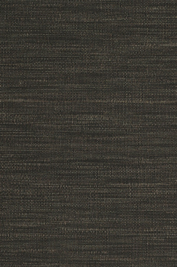 AZ51737