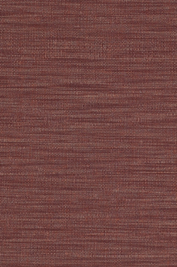 AZ51753