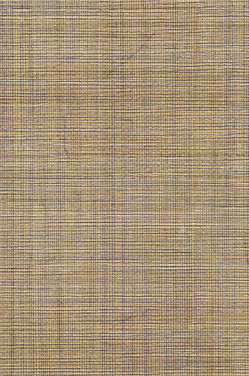 AZ52904
