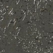 AZ52855 thumbnail