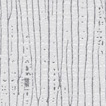 AZ52895 thumbnail